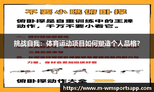 完美体育平台