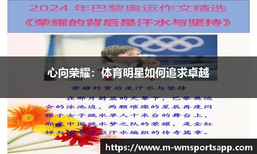完美体育